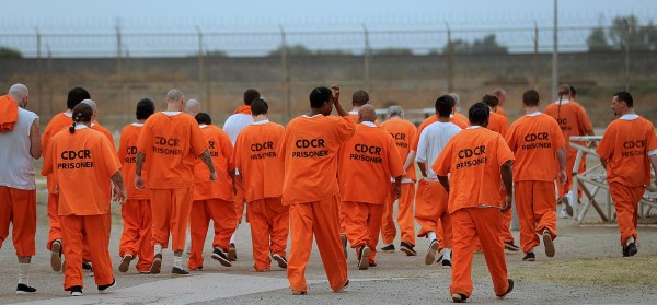 446 Nigerians Currently Serving Different Terms In UAE Prisons, Says Ambassador 8