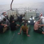 Nigeria Navy Arrests American Sea Pirate Including 3 Greek Citizens & 5 African Accomplices [Photos] 2