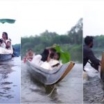 Hilarious Moment Couple Falls Into A River After Canoe Tipped During Pre-Wedding Photo Shoot 3