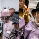 Nigeria Stands To Lose $145 Billion If We Fail To Enter Marijuana Market – Governor Akeredolu 6