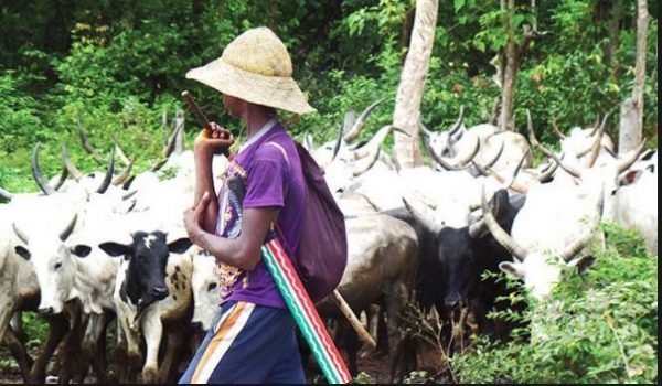 South-East Governors, Three Others Reject Buhari's Ruga Settlements For Herdsmen 10