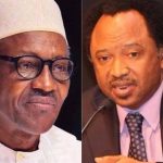 "A Spade Is Called A Spade, Not A Spoon" - Shehu Sani Attacks Buhari's Government Over Shiites Crisis 2