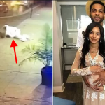 Young Man Uses His Body As Bulletproof To Protect Girlfriend As Gunman Opens Fire [Video] 2