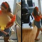 Woman Mistakenly Leaves Her Child Behind After Stealing Stroller From Baby Store [Video] 2