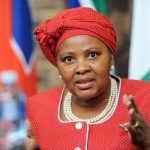 Criminals Planned Xenophobic Attacks On Foreigners, We Cant Stop It - South African Defence Minister 3