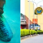 Female Student Allegedly Turns Into A Mermaid Inside UNILAG's Fagunwa Hall [Video] 6
