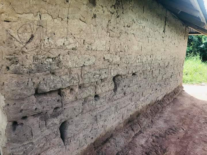 Photos Of Cross River Primary School Where Pupils Learn Under A Thatched Hut 8