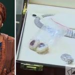 Federal Govt Set To Auction Diezani’s N14.4 Billion Jewelery, Other Forfeited Properties 2