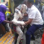 Two children dead, 23 Others Seriously injured In Lagos Gas Explosion 3