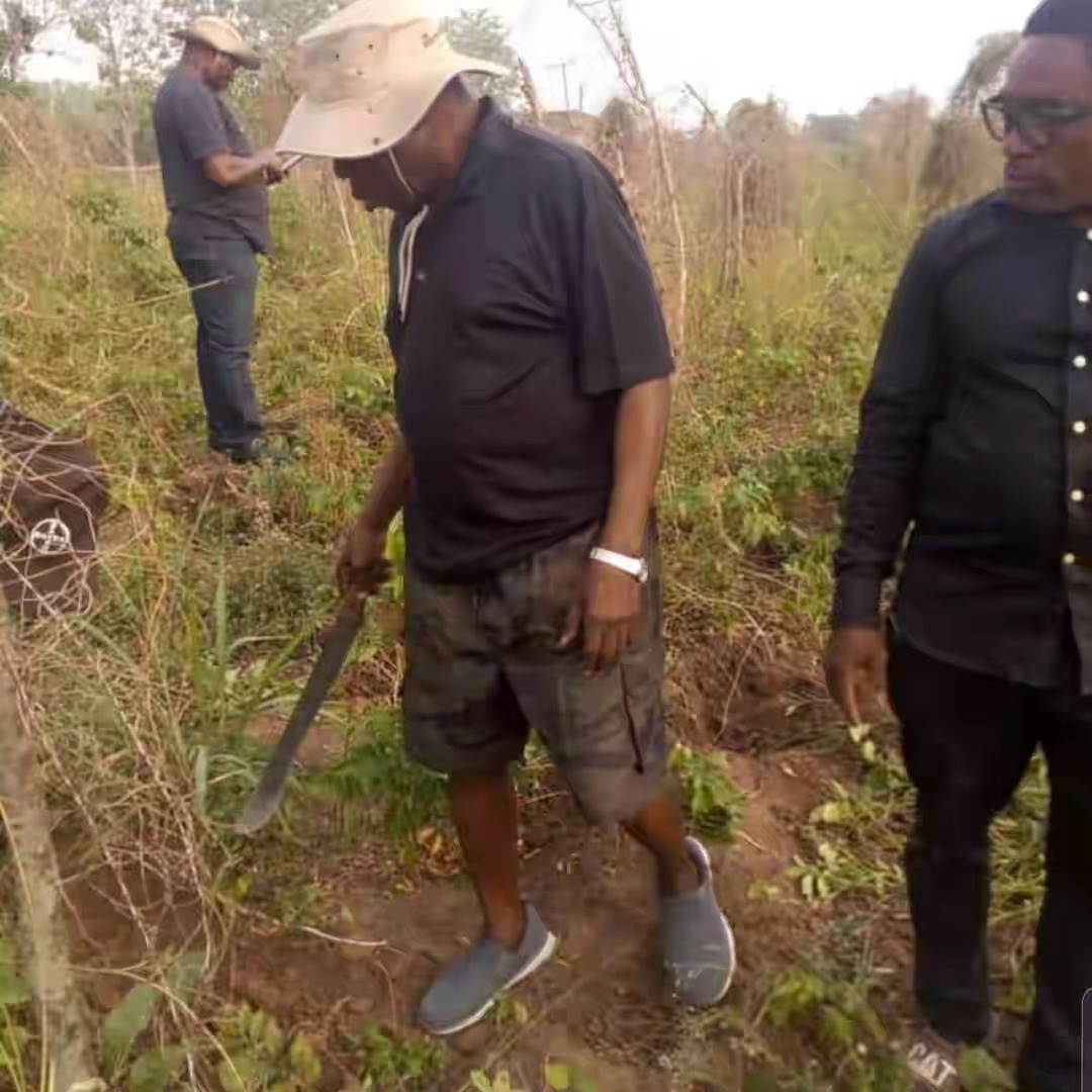 Former President, Olusegun Obasanjo Spotted Harvesting Yam In His Farm In Ogun [Photos] 11