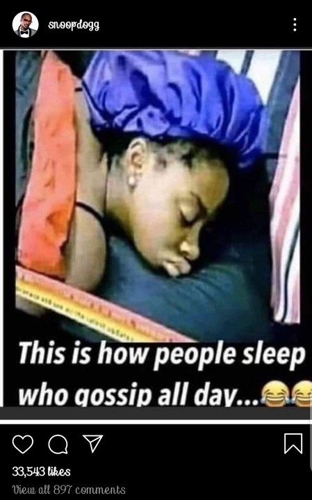 American Rapper, Snoop Dogg Mocks BBNaija's Diane Russet On His Instagram Page 3