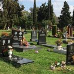 Rich People In Hollywood Are Rushing To Buy Designer Graves As Coronavirus Spreads In US 3