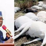 Kogi Government Bans Sale Of Beef For 48 Hours Over Mysterious Death Of 12 Cows During Grazing 2 Kogi Government Bans Sale Of Beef For 48 Hours Over Mysterious Death Of 12 Cows During Grazing 2