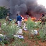 All Passengers Dead As Plane Conveying Coronavirus Medical Supplies Crashes In Somalia 2
