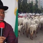 "It’s An Insult For Me To Be Struggling With Cows On The Road" - Umahi Bans Movement Of Cattle In Ebonyi 2