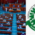 House Of Reps Probe NEDC Over Mismanagement Of N100bn Which 'Vanished Under One Year' 3