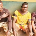 Police Arrests 3 Notorious Members Of 'One Million Boys' For Gang-Rαping A Lady In Ogun 2
