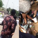 Pro SARS Thugs Attacks Peaceful #EndSARS Protesters In Berger, Abuja [Video] 3