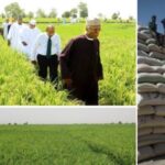 "Nigeria Now Africa’s Biggest Rice Producing Nation" – Agric Minister, Sabo Nanono 3