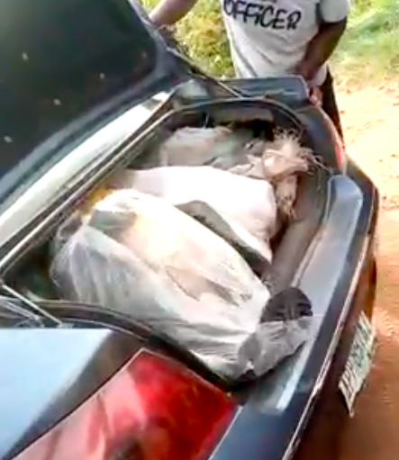 Pastor Sunday Edino Arrested For Looting N1.2 Million Medical Equipment In Kogi [Photos] 5