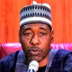 "Boko Haram Started With Youth Protests" - Governor Zulum Warns #EndSARS Promoters 2