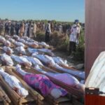 INSECURITY: Northern Elders Demand Buhari's Resignation Over Borno Farmers Killings 6