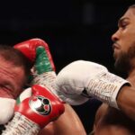 Anthony Joshua vs Pulev fight: President Buhari hails Anthony Joshua's victory over Kubrat Pulev 4