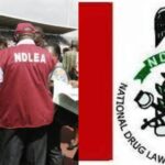 NDLEA Releases List Of Successful Recruited Applicants, Reveals How To Check 3
