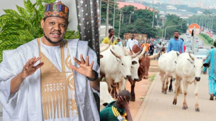 Adamu Garba Criticizes Fulani Herdsmen For Roaming The Streets With Cows 2