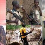 Nigerians Are Looking For Trouble By Criminalising Fulani Herdsmen - Lauretta Onochie 2