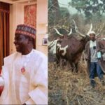 Northern Governors Asks FG For Financial Aid To Start Cattle Ranching For Fulani Herdsmen 2