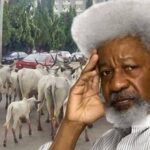 Fulani Herdsmen Invades Wole Soyinka’s Residence, Floods His Compound With Cows 3