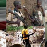 Bauchi Governor Defends Fulani Herdsmen Carrying Ak-47, Says It's For Self Defence 2