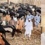 Buhari Imports His Fulani Kinsmen Into The Country To Terrorize Nigerians - Pastor Giwa 2