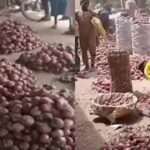 Kano Traders Laments As Onion Bag Sold In South For N35k Crashes To N7k In The North 3