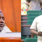 Nigerians Abroad Don't Have Rights To Complain About Killer Herdsmen - House Of Reps [Video] 3