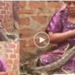 Woman Caught Breastfeeding A Giant Snake While Calling The Names Of Her Enemies 2