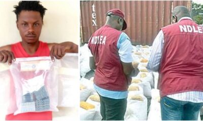 NDLEA Arrests Chadian Man Who Supplies Drugs To Boko Haram Members In Taraba 6