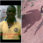 Nigerian Man Gets Killed By 'Spiritual Snake' Allegedly Sent By Unknown Person In Edo 3