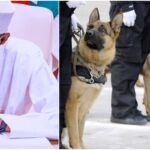 Buhari Approves N658 Million For Deployment Of Dogs To Lagos, Abuja Airports