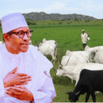 "We'll Defend Benue Land With Our Blood" - Tiv Youths Warns Buhari About Grazing Sites