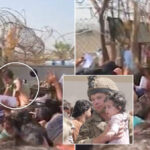 Afghan Mums Throw Babies Over Barbed Wire Fences, Beg British Soldiers To Take Them