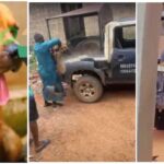 Police Arrest Dog For Biting 18-Year-Old University Student's Penîs In Ondo [Video]