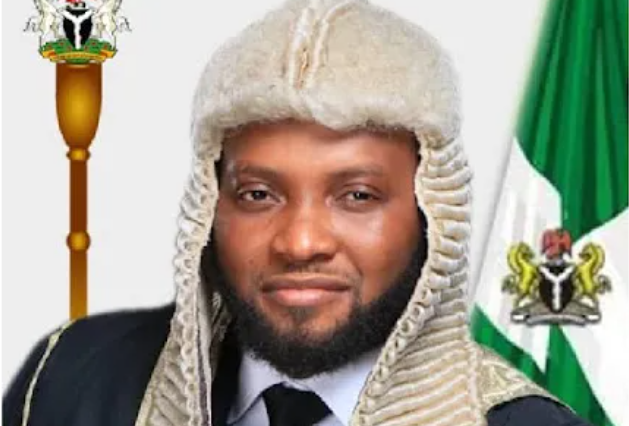 BREAKING: Imo Deputy Speaker, Amara Iwuanyanwu Impeached Under Tight Security