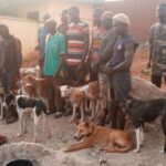 Amotekun Arrests 17 Northerners With Over 30 Dogs, Charms, Cutlasses In Ondo