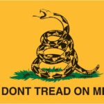 The Hidden Tale of the Dont Tread On Me Flags 3