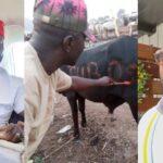 Tunde Ednut Exited As Obi Cubana Gifts Him N5 Million, Six Cows For His Birthday