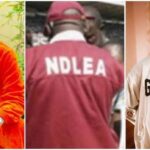 NDLEA Arrest Zinoleesky And Mohbad, Recover Drugs During Midnight Raid [Video]