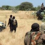 Boko Haram Kills Eight People, Razes Village In Borno