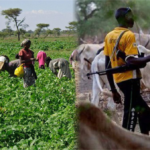 Suspected Fulani Herdsmen Invade Enugu Villages, Kill 6 People Including Pregnant Women